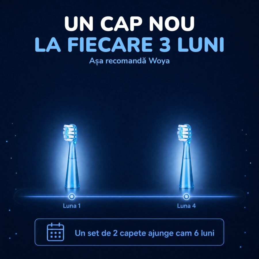 Schimbarea la 3 luni a capetelor: capete albastre de rezervă pentru periuța de copii Woya ED716